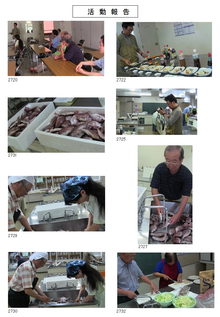 平成26年度　真鯛の魚醤造り講座